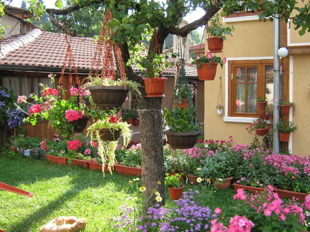 Guest House Bashtina Striaha Koprivstica Kültér fotó